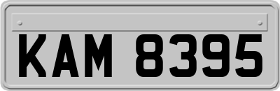 KAM8395