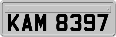 KAM8397
