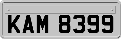 KAM8399