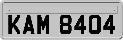 KAM8404