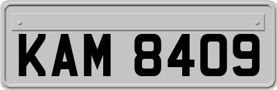 KAM8409
