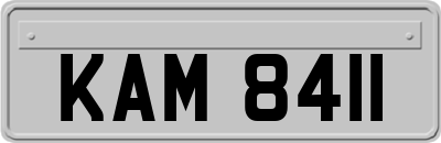 KAM8411