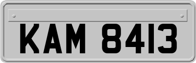 KAM8413