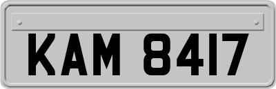 KAM8417