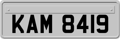 KAM8419