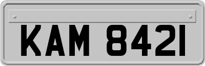 KAM8421