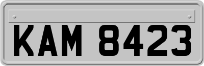 KAM8423