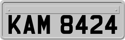 KAM8424