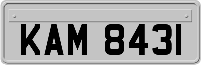 KAM8431