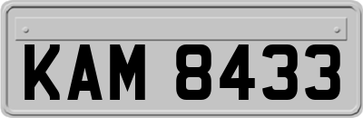 KAM8433