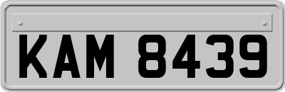 KAM8439