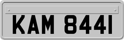 KAM8441