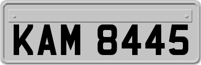 KAM8445