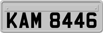 KAM8446
