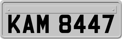 KAM8447