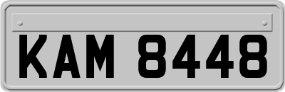 KAM8448