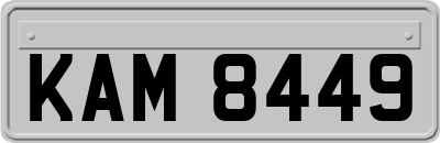 KAM8449