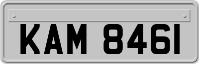 KAM8461