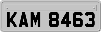KAM8463