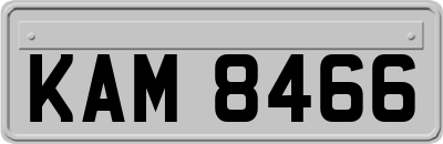 KAM8466