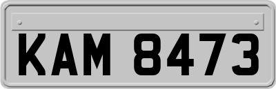 KAM8473