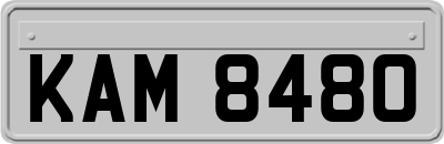 KAM8480