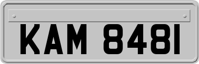 KAM8481