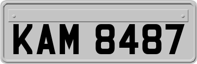 KAM8487
