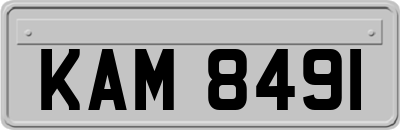 KAM8491