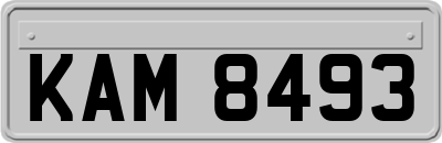 KAM8493