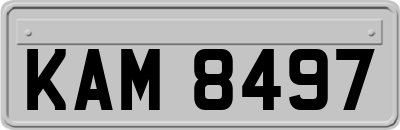 KAM8497