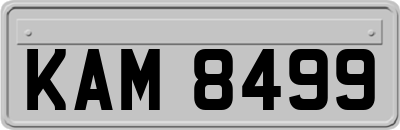 KAM8499