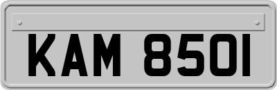 KAM8501
