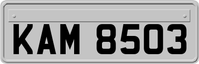 KAM8503
