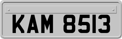 KAM8513