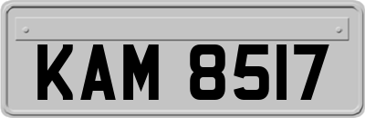 KAM8517
