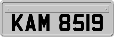 KAM8519