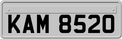 KAM8520