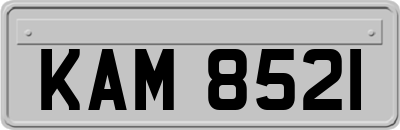 KAM8521