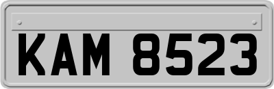 KAM8523