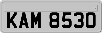 KAM8530