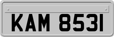KAM8531