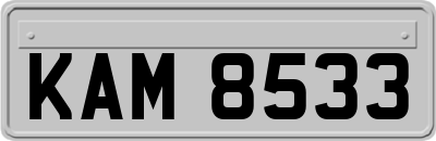 KAM8533