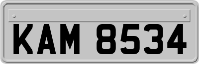 KAM8534