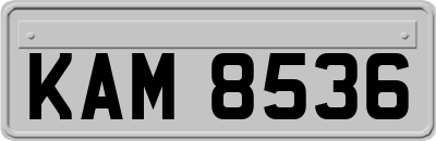 KAM8536
