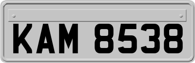 KAM8538