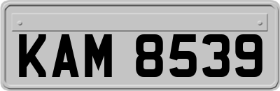 KAM8539