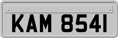 KAM8541