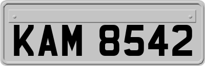 KAM8542