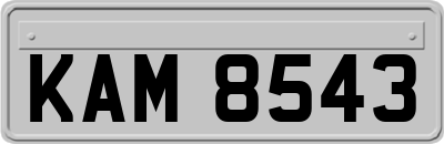 KAM8543